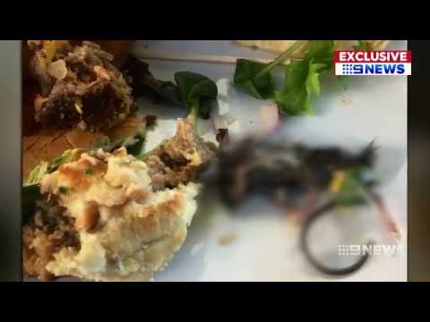 Dining Disaster | 9 News Perth