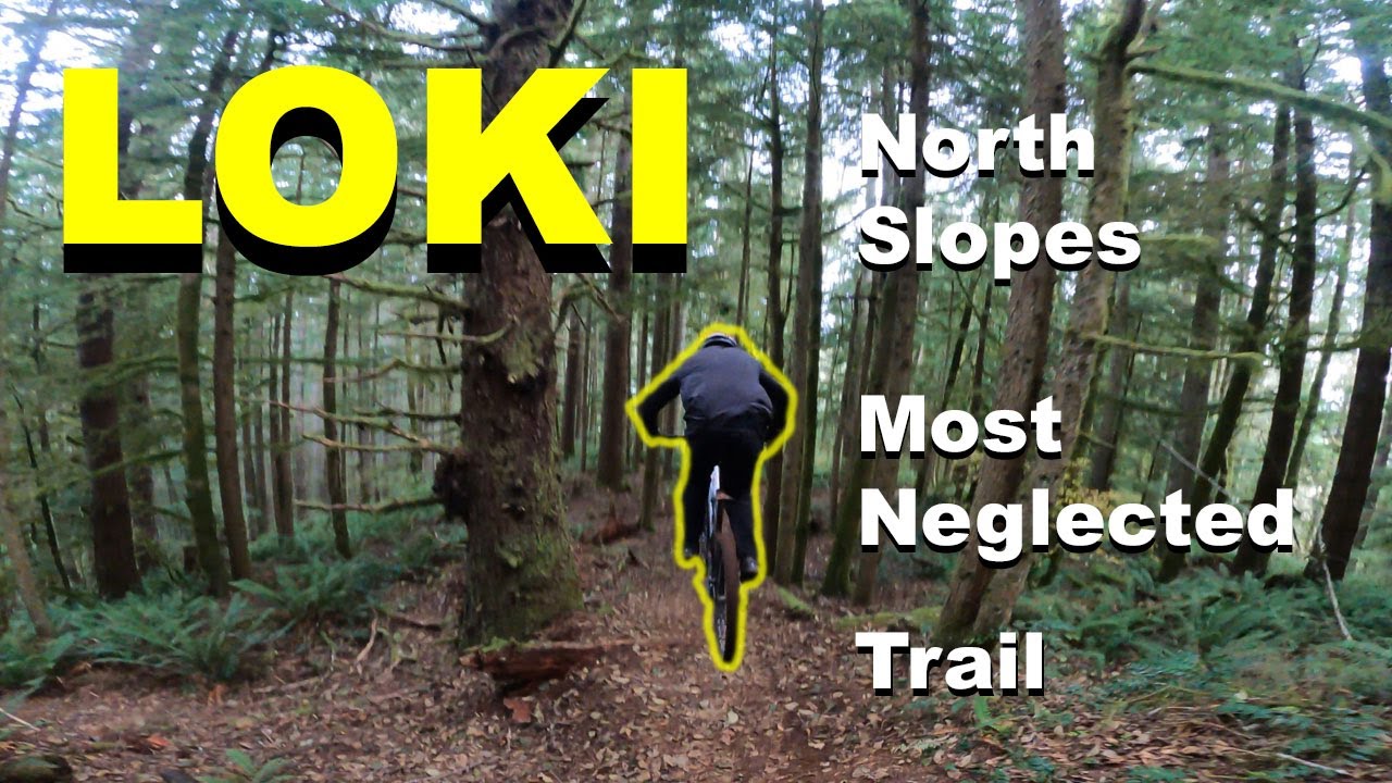 LOKI- North Slope Trails- Capitol Forest Olympia, WA
