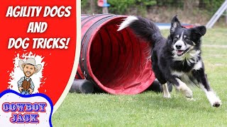 Dog Tricks for Kids | Cowboy Jack