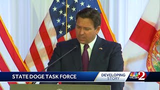 Florida governor creates DOGE task force to cut state government jobs