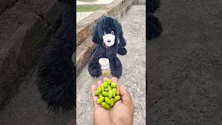 Beads ASMR😼🐭🌯😱🤗 Relaxing Cat ReverseMagic🤓P8560