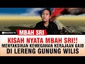 Kisah nyata mbah sri melihat kemegahan kerajaan gaib di lereng gunung wilis