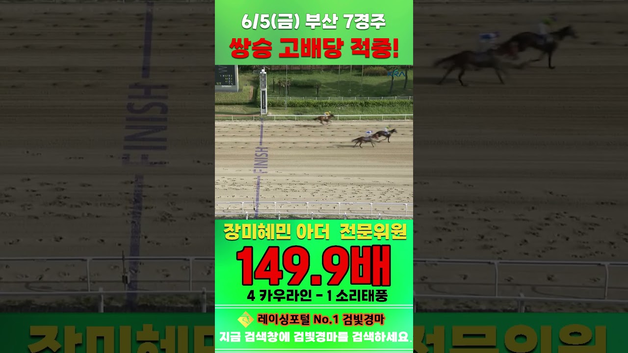 [부산 경마] 6월 5일 일요 7경주 장미혜민 아더 전문위원 쌍승 고배당 적중 #경마 #automobile #하이라이트 #horse #한국마사회 #riding #racing #게임