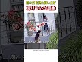 窓の外を見た飼い主が凍りついた理由