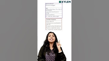 ഇവരെ തരം തിരിച്ച് നോക്കിയാലോ! - Christmas Exam 2025 | Xylem Class 6