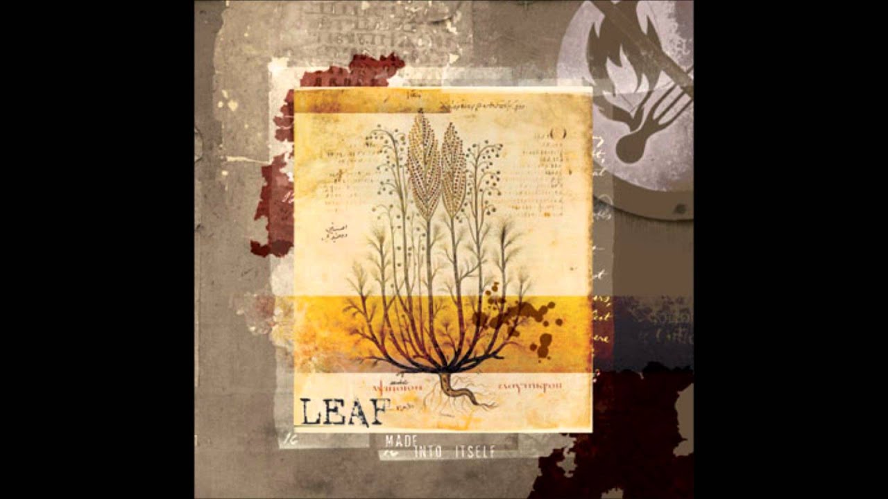 Leaf - Glitch Exercise