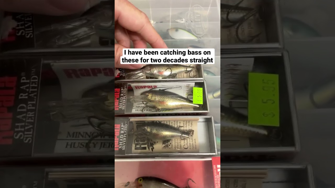 Rapala Shad Rap: Best Winter And Year Round Crankbait #bassfishing