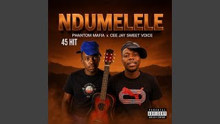 NDUMELELE (feat. PHANTOM MAFIA)