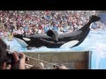 Blackfish  official trailer