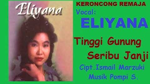 TINGGI GUNUNG SERIBU JANJI (LIRIK) - Keroncongan - Eliyana - Musik Pompi S.