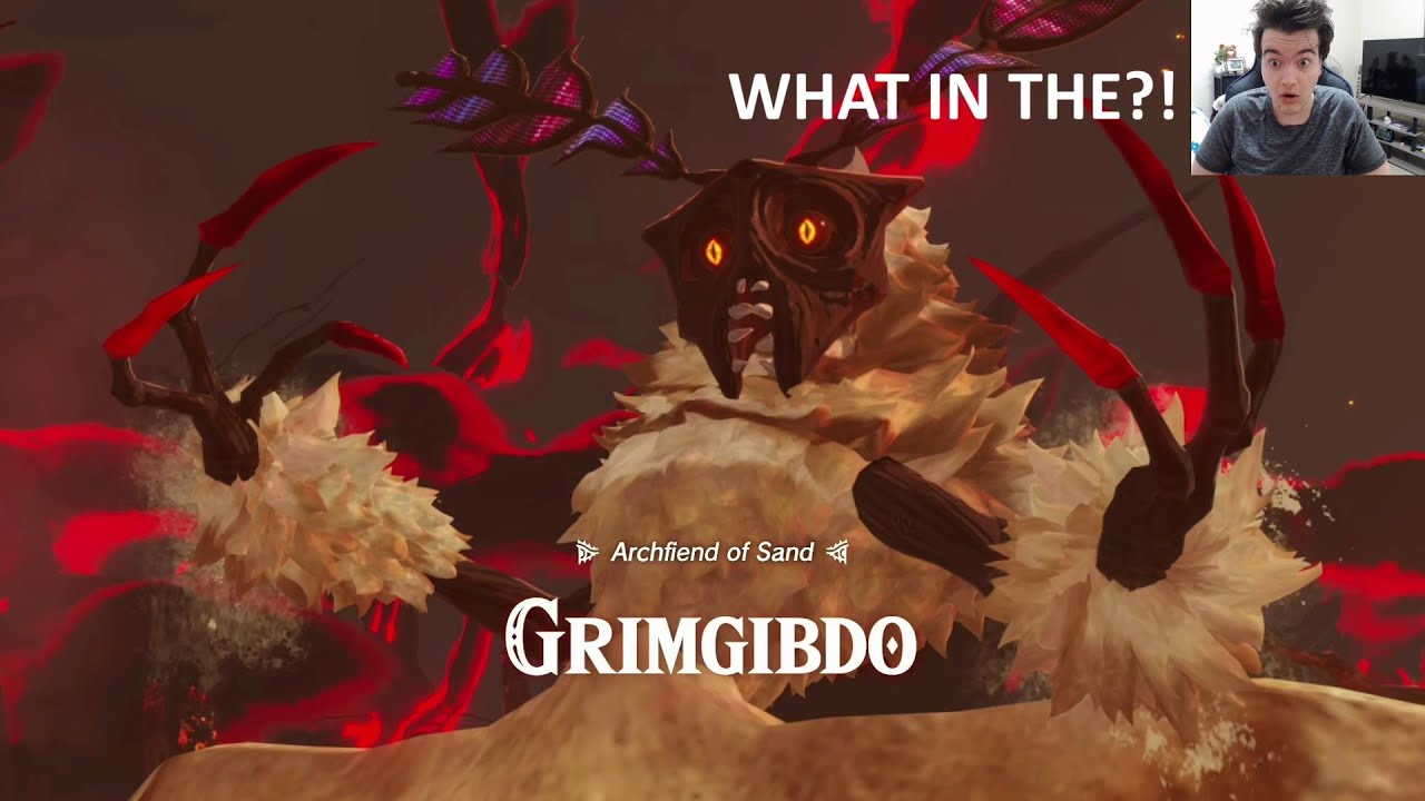 Grimgibdo Buned Korok Forest! Hyrule Warriors Age of Imprisonment Part 15