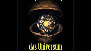 Das Universum in der Nussschale - Hörbuch