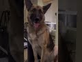 С Новым годом!