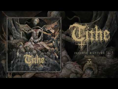 TITHE - Parasite (official audio)