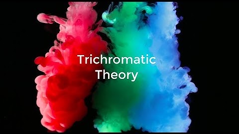 Color! (IDSC250) - Trichromatic Theory