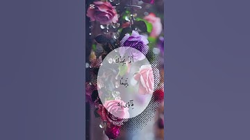 سورة الضحى #الشيخ #سعد_الغامدي #قران_كريم #quran #اكسبلور #متابعة #لايك