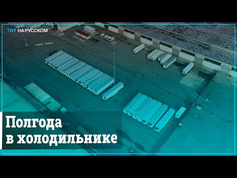 В Нью-Йорке больше полугода хранят тела умерших от COVID-19 в холодильниках