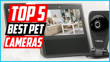 ✅Top 5 Best Pet Cameras Review in 2024