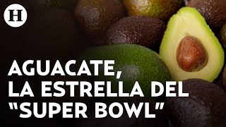 ¡Super Bowl con sabor a México! Se exportarán 130,000 de toneladas de aguacate para su consumo en EU