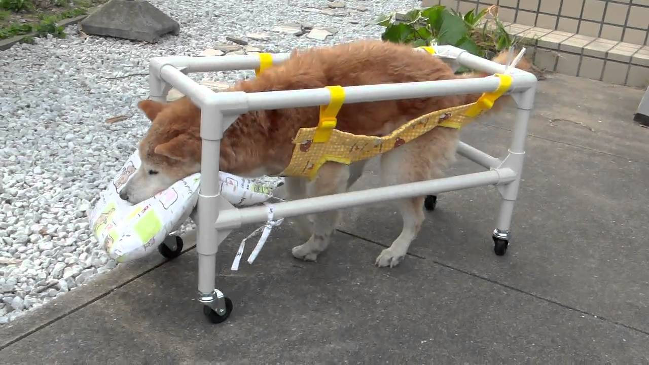 世界で１つだけの四郎クンの車椅子 手作り しろうくんのブログ