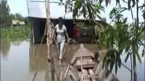 Đồng Tháp Mười mùa lũ - Thạnh Hưng - Hồng Ngự - Tân Hồng