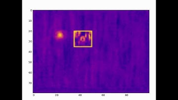 ROI Detection Visualization