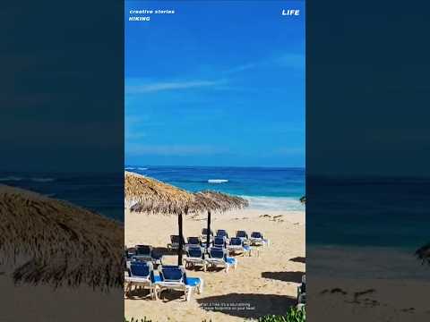 ¡GOLAZOS, ATAJADONES y JUGADAS CON MAGIA EN LA J6! | CALIENTE.MX