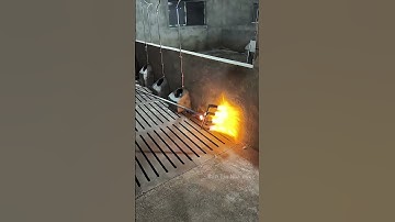 Phương pháp khử trùng chuồng trại hiệu quả nhất