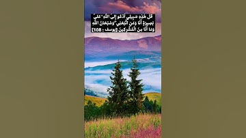 ما تيسر من سورة يوسف - للقارئ الشيخ وديع اليمني