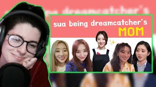 Chaotic and Wholesome 🥰 | Reacting to Introducing SuA Being Dreamcatcher's Mom by @insomnicsy