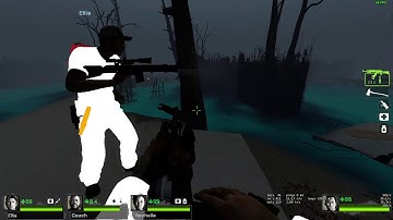 this is why steam workshop mods arent allowed online in L4D2 anymore