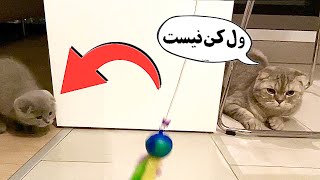 پسرخاله خیلی حوصله داره 😵‍💫 همش بازی آخه by Mikey cat 13,842 views 2 years ago 2 minutes, 41 seconds