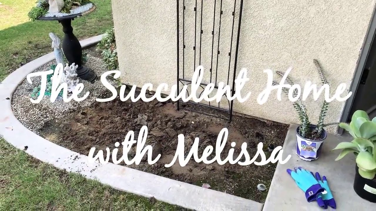 Succulent Ocean Inspired Tapestry Phase 2 / Planting Succulents In Ground / Succulents