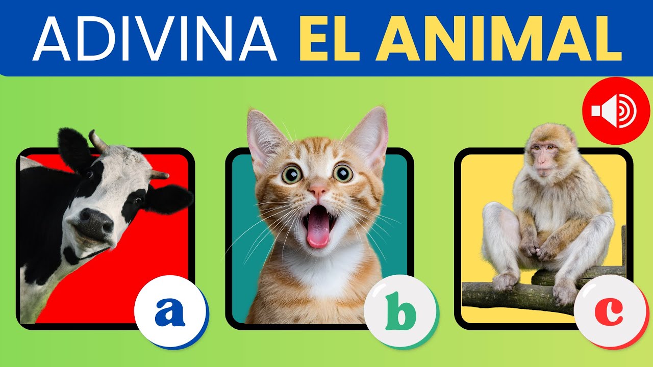 👉 Adivina el Animal por el Sonido 🐒🦁 | Juego Educativo para Niños 👶🎶 ...