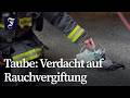 Feuerwehr in Oakland versorgt Taube mit Sauerstoff