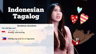 How Similar are Tagalog and Indonesian? | (Reaction Video)