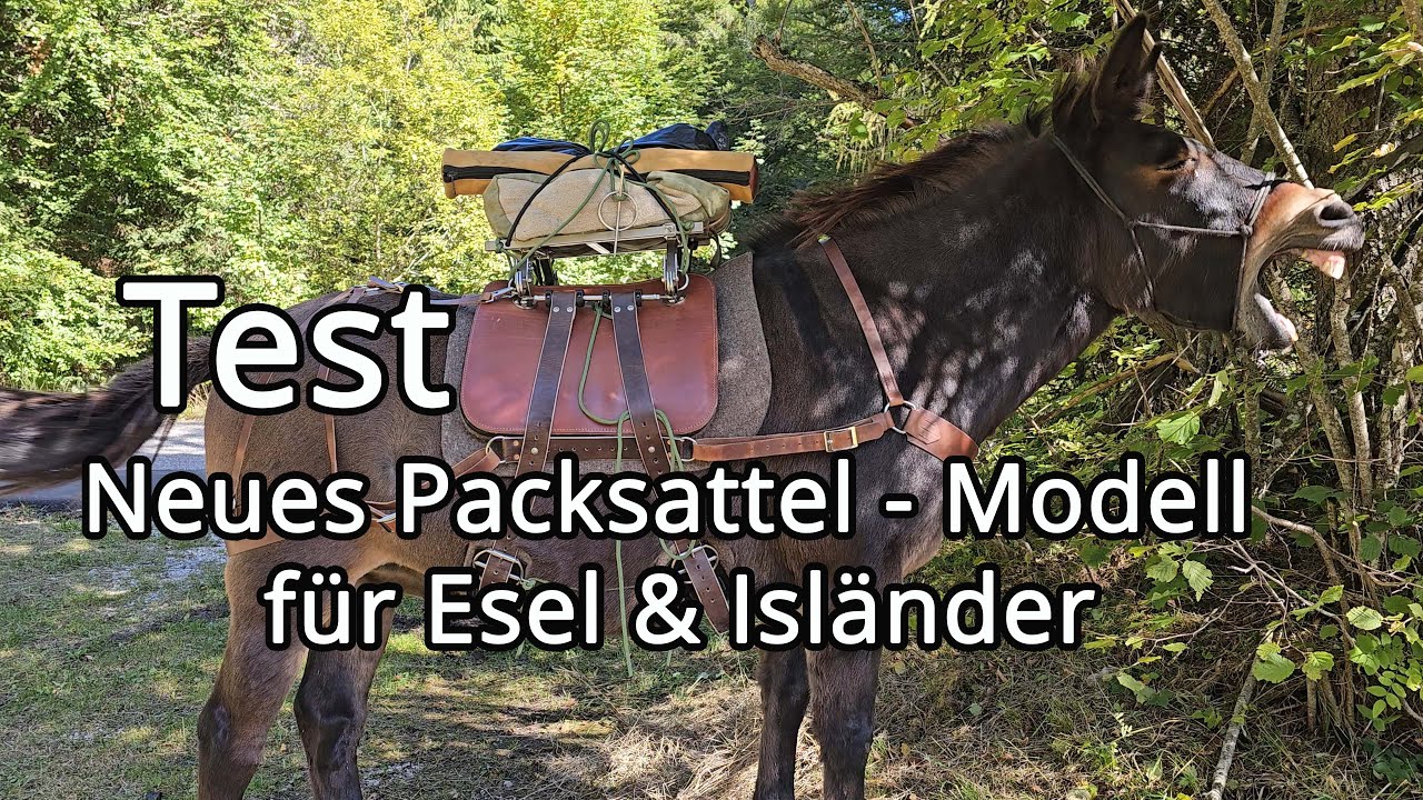 Wandern mit Pferd Muli Esel. Packsattel - Wanderung im Trentino.