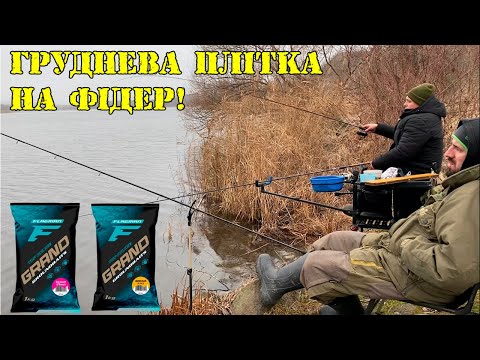 Фідерна рибалка в грудні. Дайджест стріму з рибалки: плітка хитра, але ми ще хитріші