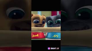 Happy 5Th Anniversary Puppy Dog Pals