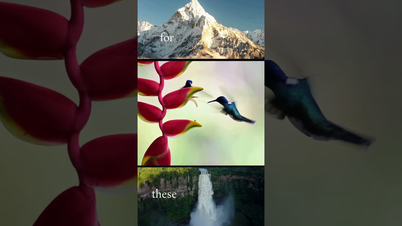 Unreleased Track Preview: Atomic Love | Psykē