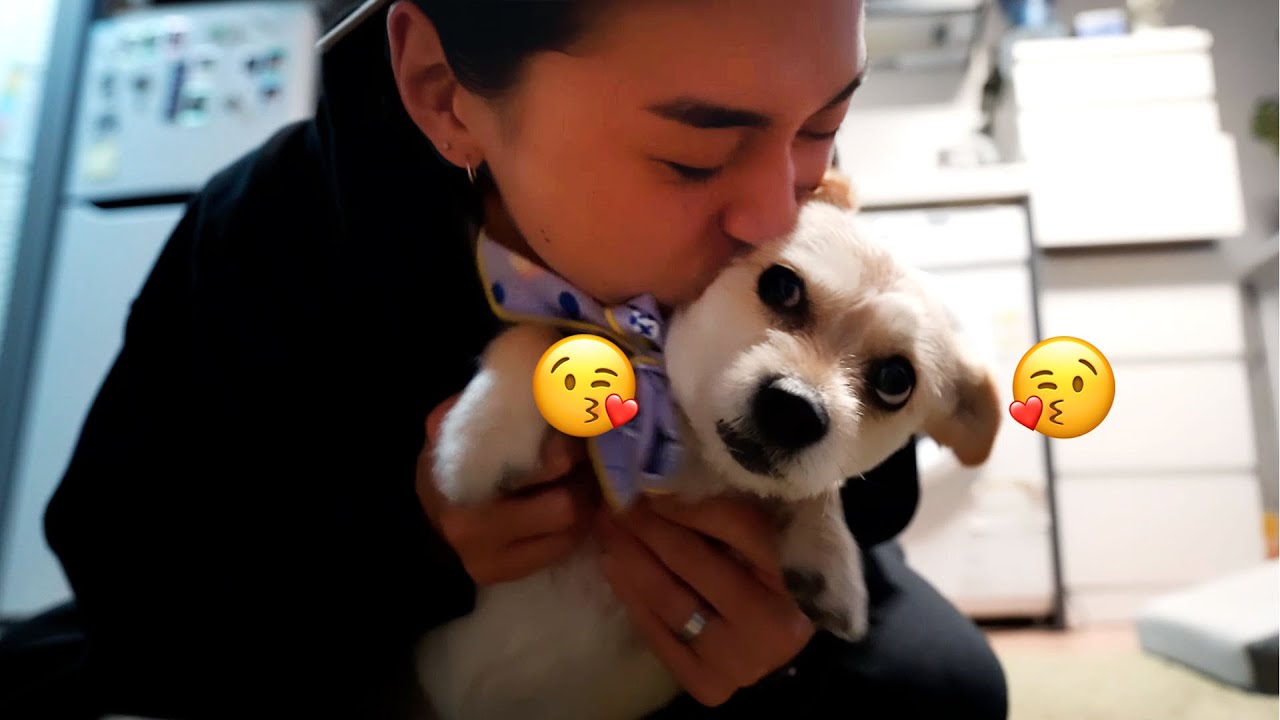 조이야 오빠 왔다!ㅣDOXLOG EP.60