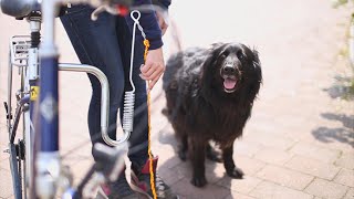 Fahrradleine für Hunde