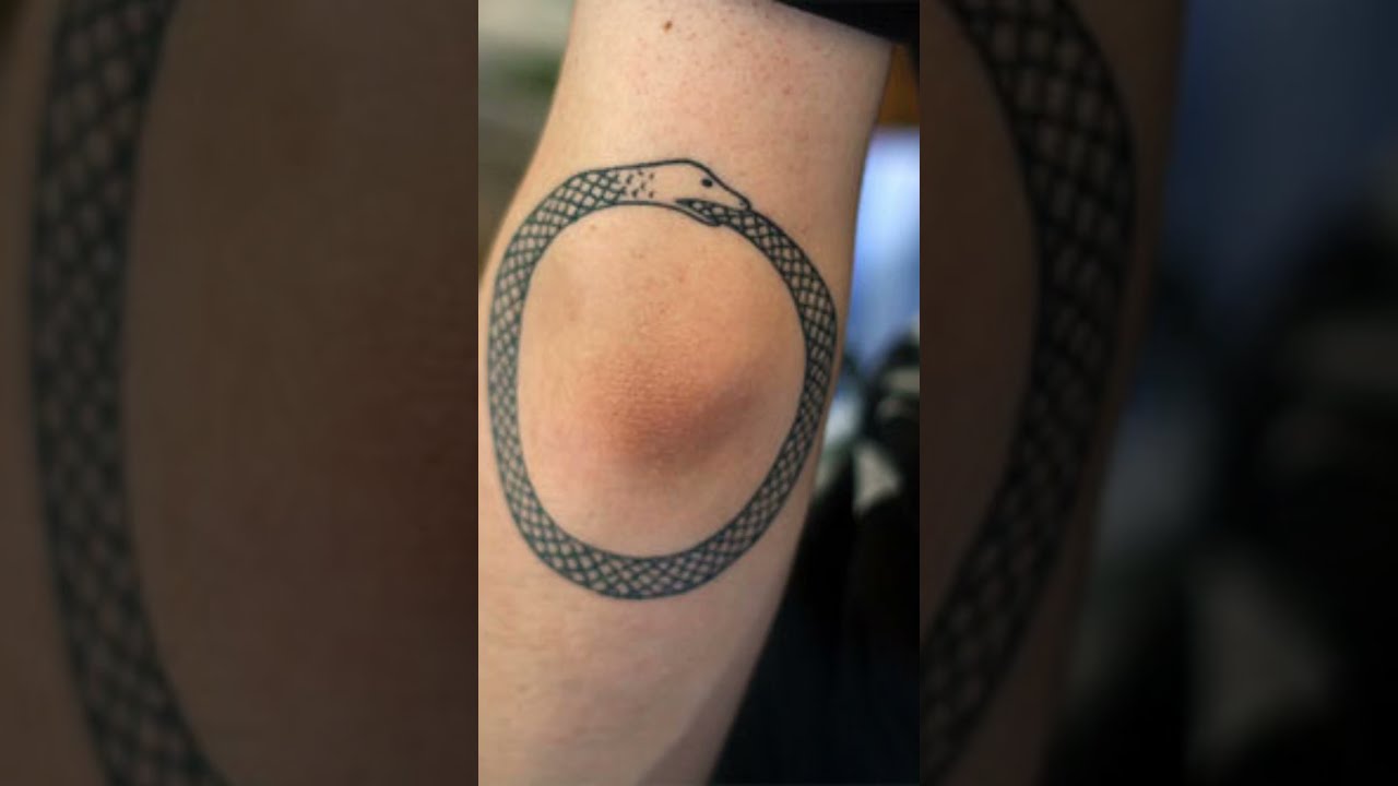 Ouroboros Tattoo - Tattoo Ideas New Video  