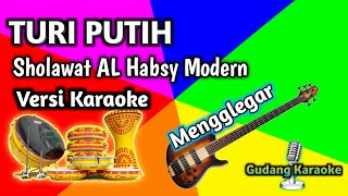 KARAOKE_ TURI-TURI PUTIH _Habsy Modern