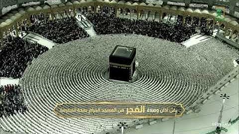 *صلاة الفجر* 🎙️من رحاب المسجد الحرام🕋|فضيلة الشّيخ أ.د. ياسر بن راشد الدوسري |ماتيسر من سورة البقرة