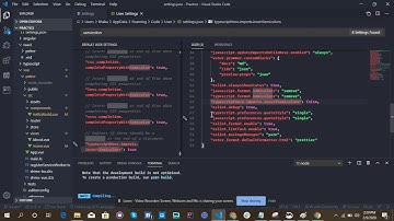 Vs-code Es-lint, Type Script, Vue, Single quote and Semicolon issue Fixed