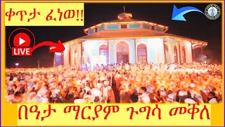 🔴LIVE  ቀጥታ ፈነወ‼️ ካብ ማርያም ጉግሳ መቐለ‼️ሰዋስው ሚድያ Sewasew Media  's broadcast