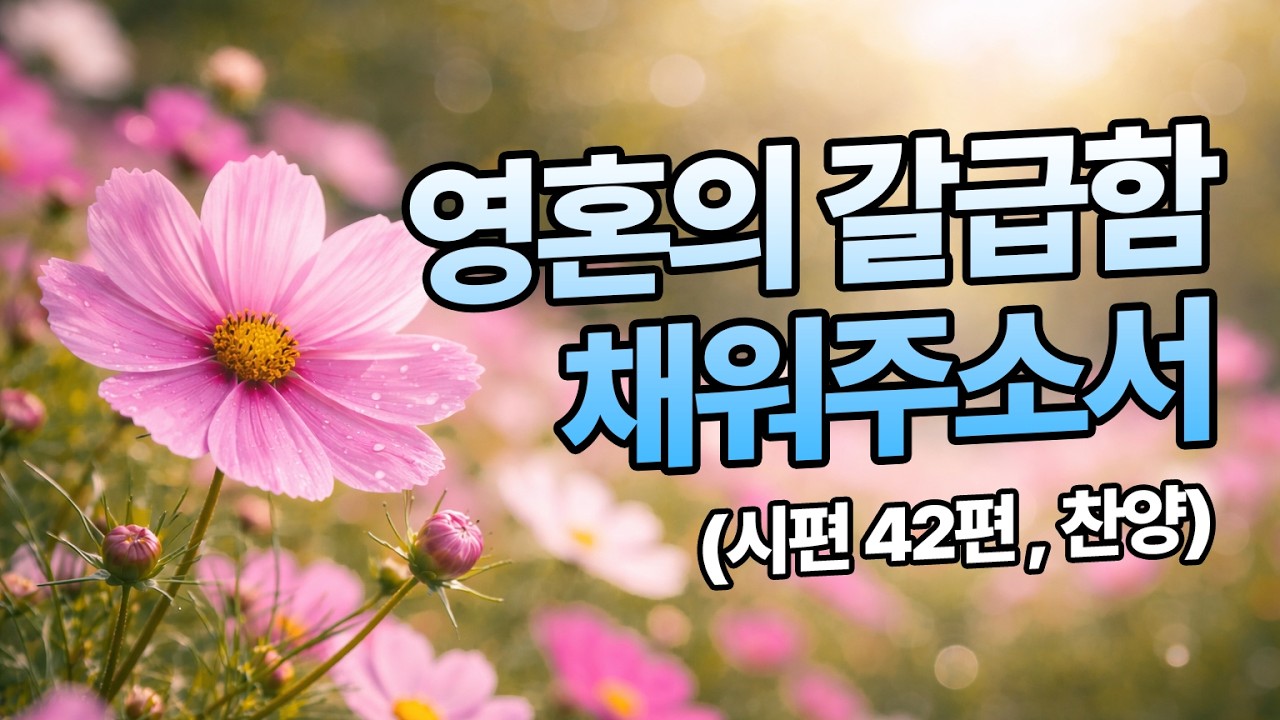 오늘의 묵상과 함께 드리는 시편, 42편 찬양으로 드리는 QT, 영상 아래 [더보기]를 확인해 보세요! ㅣ CCM ㅣ CCM찬양모음 ㅣ 시편CCM ㅣ 묵상기도음악 ㅣ 묵상찬양