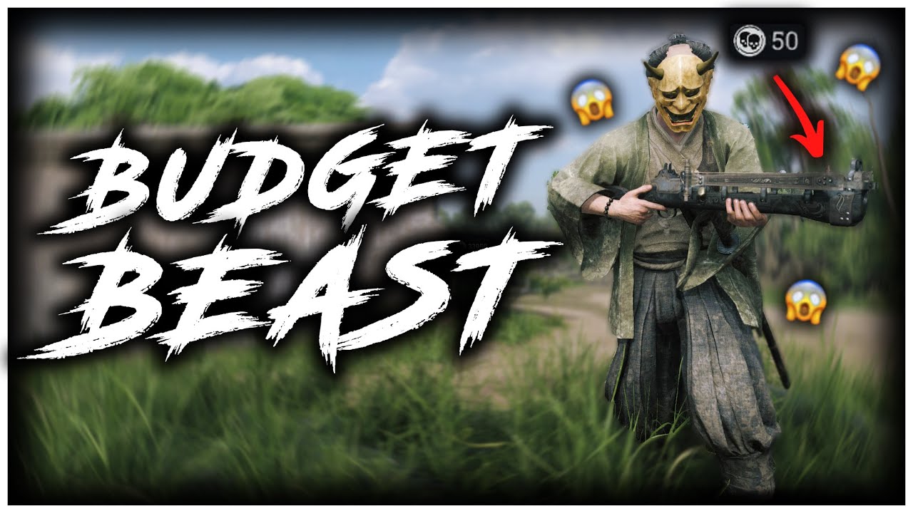 The 50$ Budget Beast...