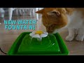 NEW Cat Water Fountain for my Cats!!